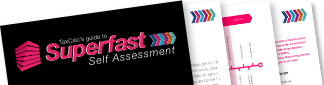 Self Assessment - Accountancy Practice guide